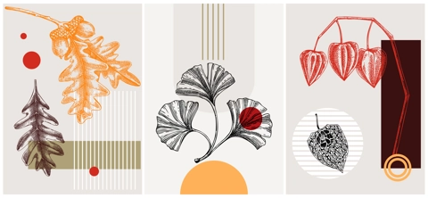 Collage style autumn vector illustration. Sketched leaves and dried flowers. Trendy fall design with botanical, geometric shapes, and abstract elements. For print, poster, card, social media